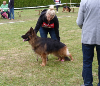 Foto: Stefan Lehnert