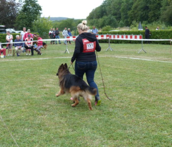 Foto: Stefan Lehnert