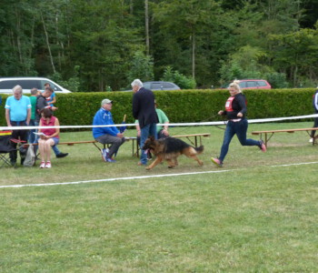 Foto: Stefan Lehnert