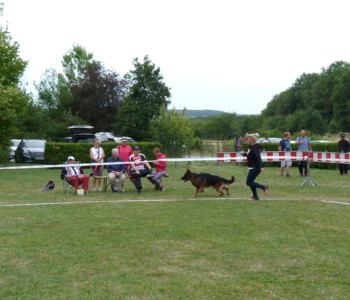 Foto: Stefan Lehnert