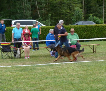 Foto: Stefan Lehnert