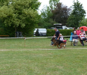 Foto: Stefan Lehnert