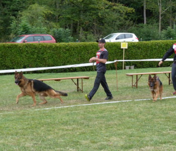 Foto: Stefan Lehnert