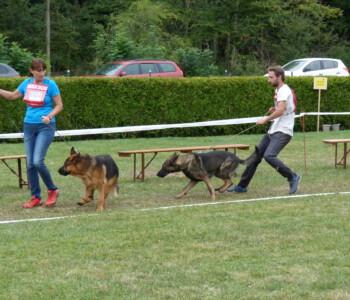 Foto: Stefan Lehnert