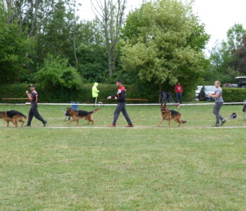 Foto: Stefan Lehnert