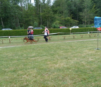 Foto: Stefan Lehnert