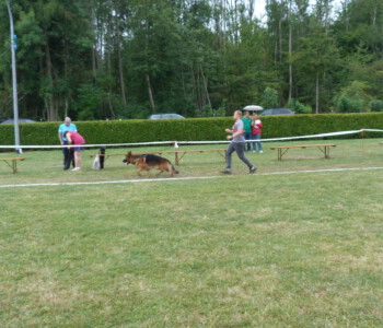 Foto: Stefan Lehnert