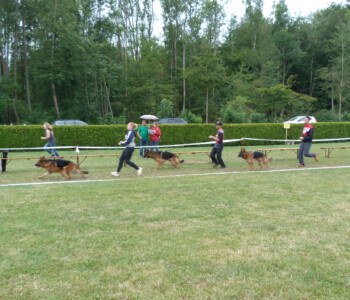 Foto: Stefan Lehnert