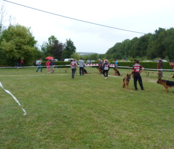 Foto: Stefan Lehnert