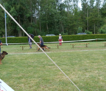 Foto: Stefan Lehnert