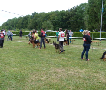 Foto: Stefan Lehnert