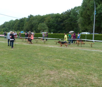 Foto: Stefan Lehnert