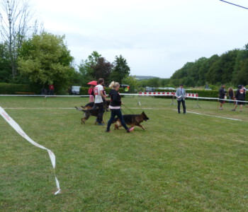 Foto: Stefan Lehnert