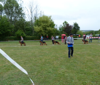 Foto: Stefan Lehnert