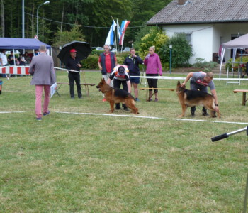 Foto: Stefan Lehnert