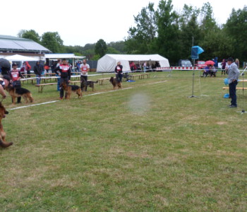 Foto: Stefan Lehnert