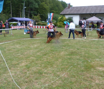 Foto: Stefan Lehnert