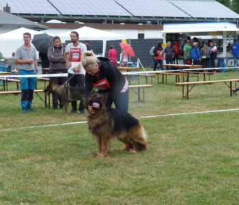 Foto: Stefan Lehnert