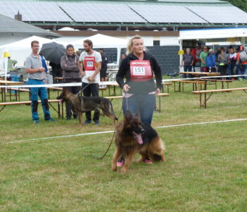 rechts SG 1 Kojak vom Schloss Balgheim