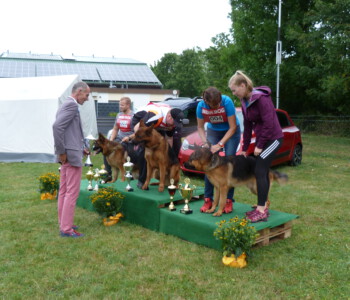 Foto: Stefan Lehnert