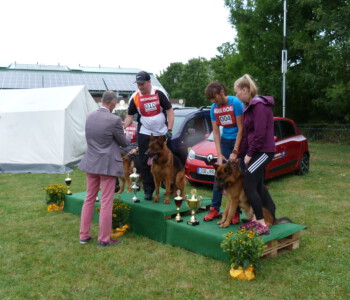 Foto: Stefan Lehnert