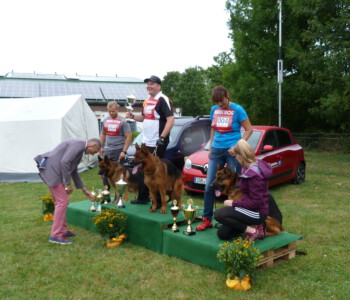 Foto: Stefan Lehnert