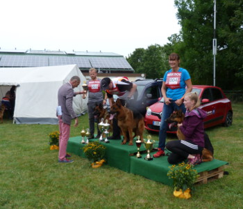 Foto: Stefan Lehnert