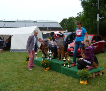 Foto: Stefan Lehnert