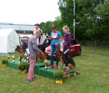 Foto: Stefan Lehnert