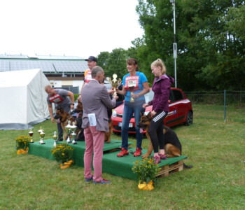 Foto: Stefan Lehnert