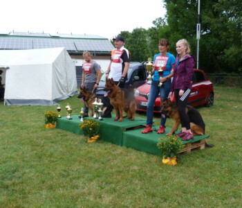 Foto: Stefan Lehnert