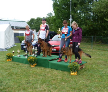 Foto: Stefan Lehnert